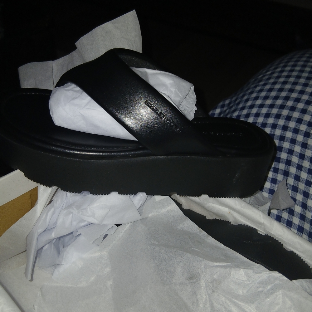 Charles And Keith Black Platform Slides